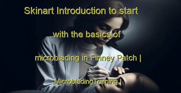 Skinart Introduction to start with the basics of microblading in Finney Patch | MicrobladingTraining | MicrobladingClasses | SkinartTraining-United States